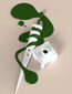 Lantern Green - 15 ml