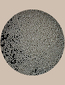 Caviar Alb - 5g